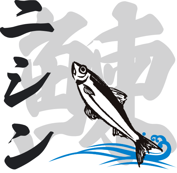 ニシン（鰊）